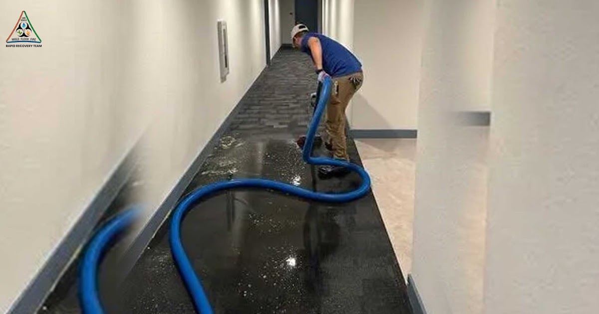 Rapid Recovery Team: The Hidden Dangers of Delaying Emergency Flood Cleanup in Florida