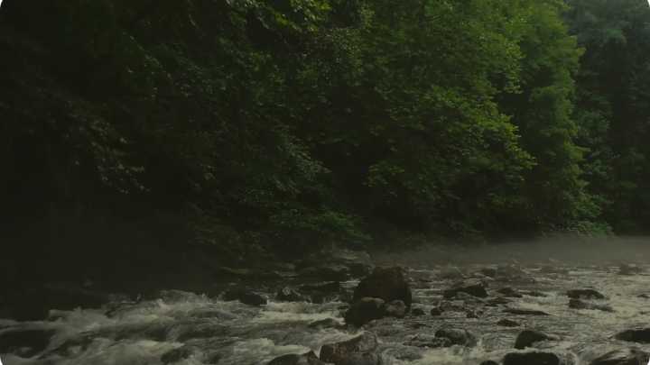 Guide to Restaurants in Grantsville MD: Where to Eat  Relax - Blog View - Party.biz