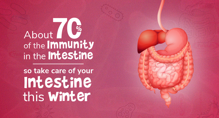 About 70% Of The Immunity In The Intestine–The Need For Probiotics