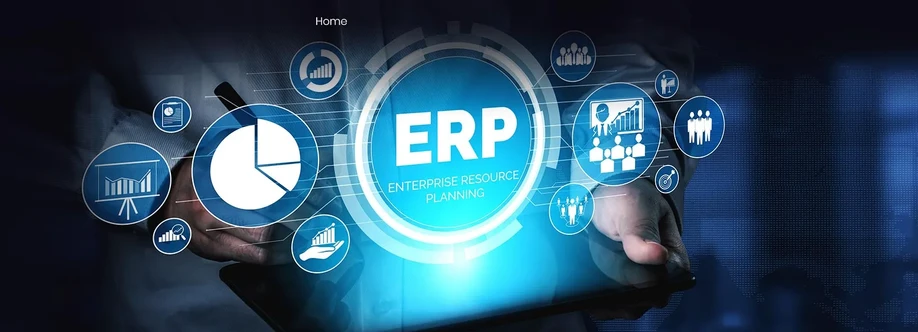 Gamavis Software Solution Cover Image