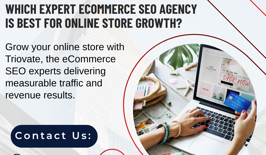 Which Expert ECommerce SEO Agency Is Best for Online Store Growth?