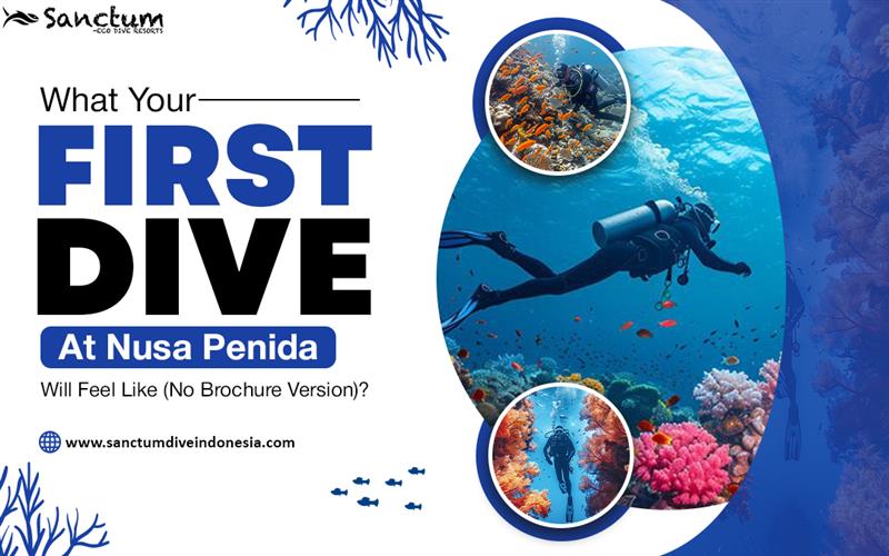 What Your First Dive at Nusa Penida Will Feel Like (No Brochure Version)? – Dive Indonesia, Scuba Bali Dive