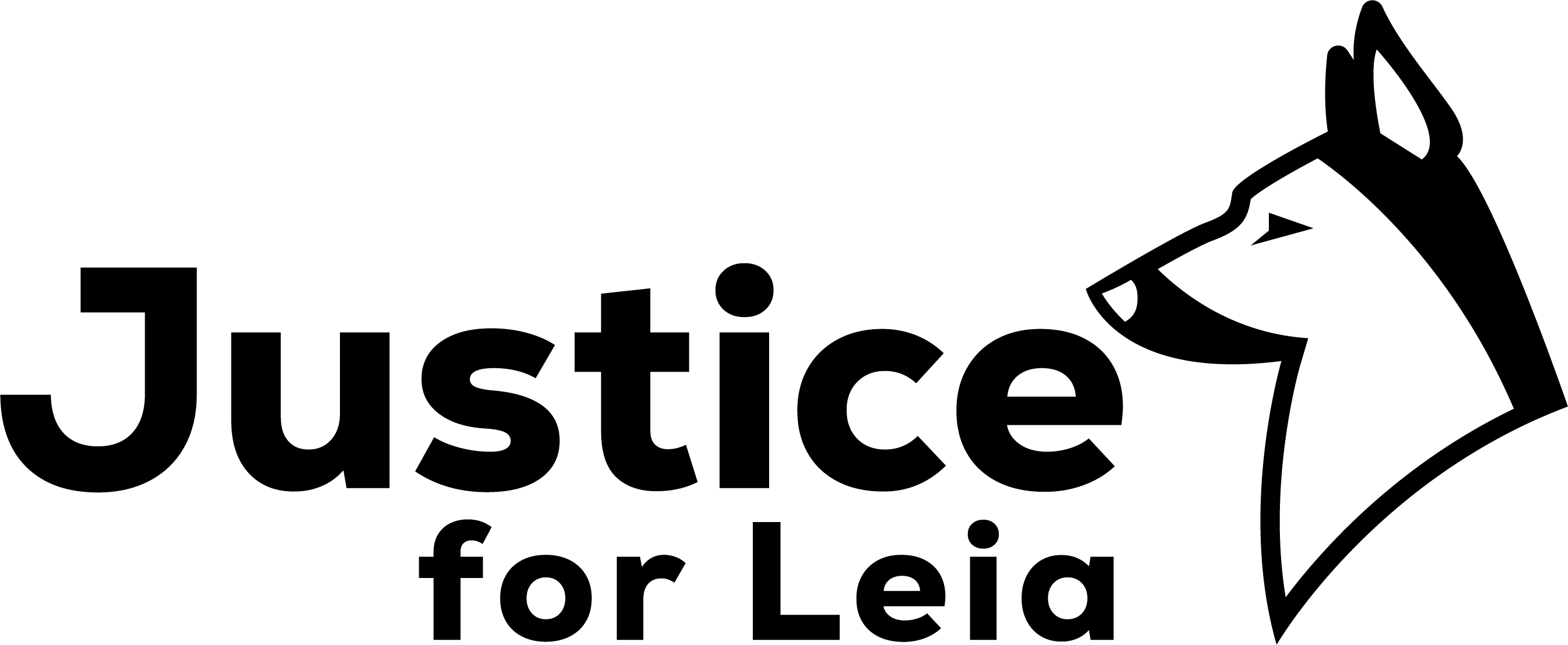 Dog Trainer  Boarding Checklist: What to Ask Before Hiring