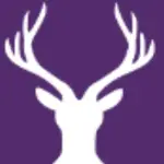 Johan Joe profile picture