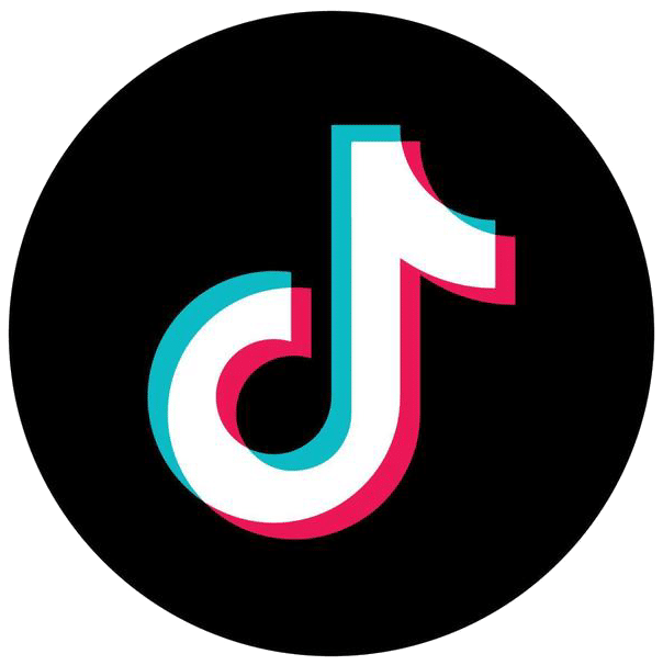 Spiders in Dubai: Identification  Prevention Tips