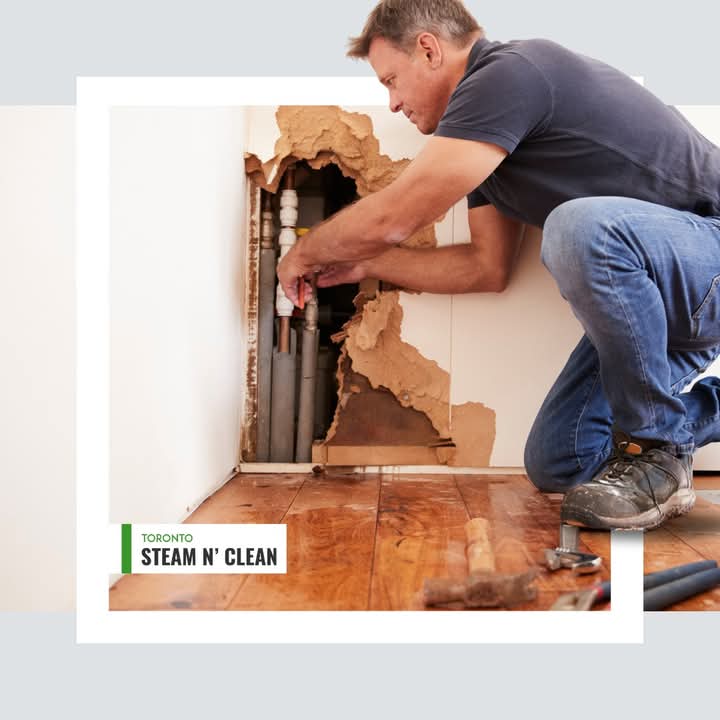 Water Damage Restoration After Burst Pipes: Homeowner Guide 2026 - Segi Social