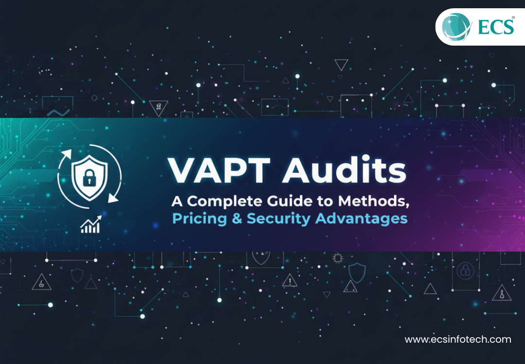 VAPT Audits: A Complete Guide to Methods, Pricing  Security Advantages