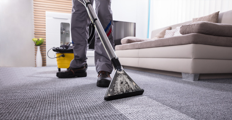 Why Alpine Professional Carpet Care is the Trusted Choice for Carpet Cleaning Excellence – @ajscarpetcleaning0 on Tumblr