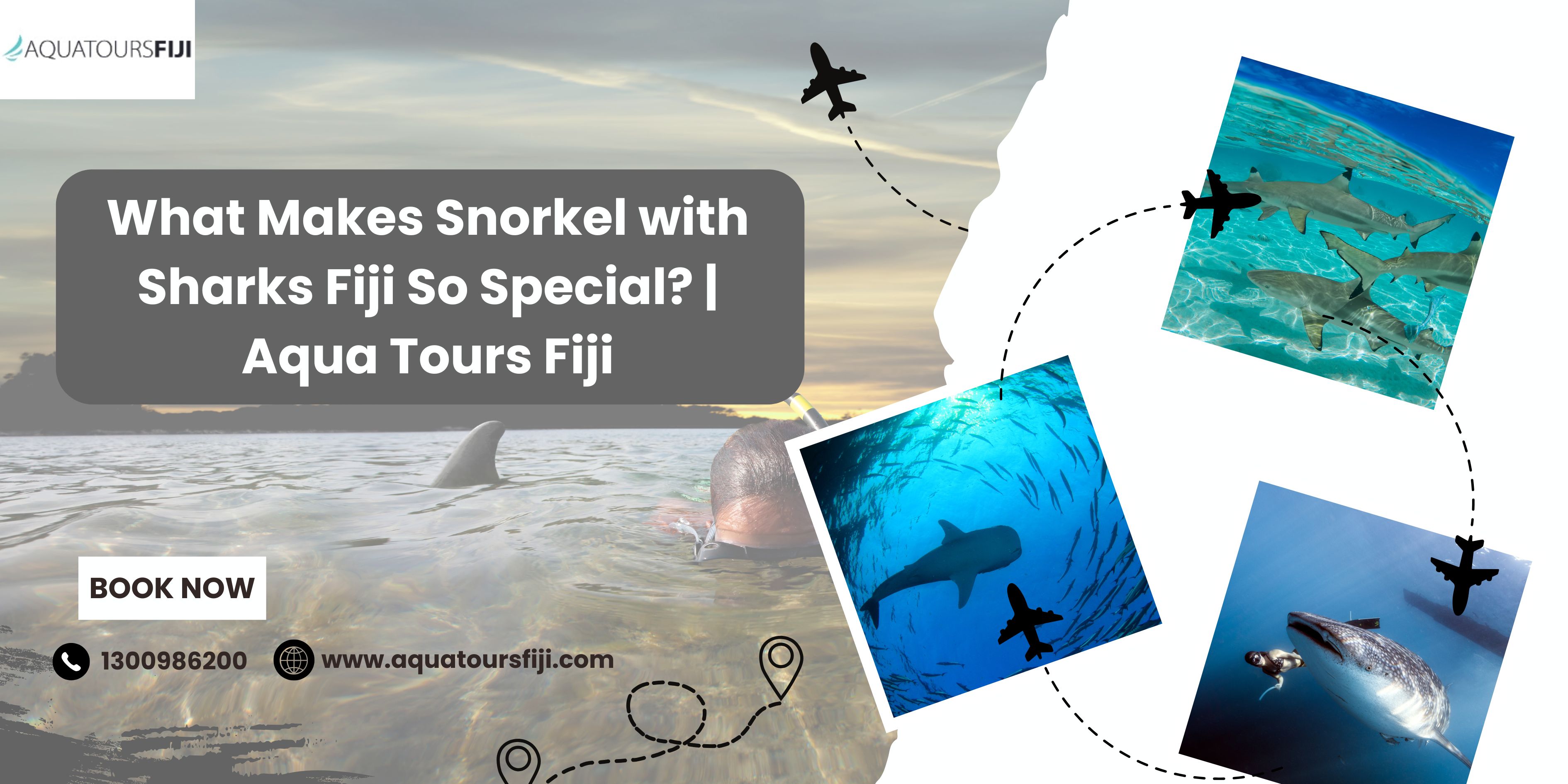 What Makes Snorkel with Sharks Fiji So Special? | Aqua Tours Fiji