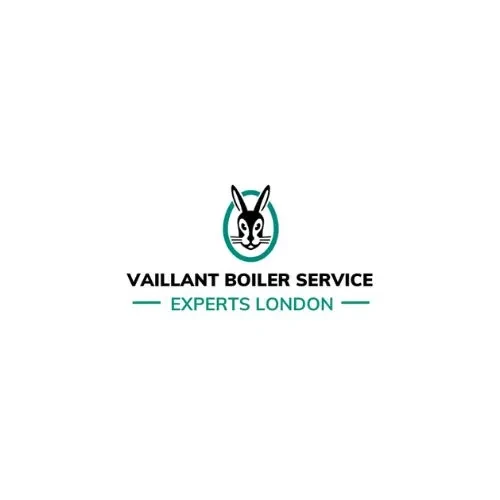 Vaillant Boiler Service Experts London Profile Picture