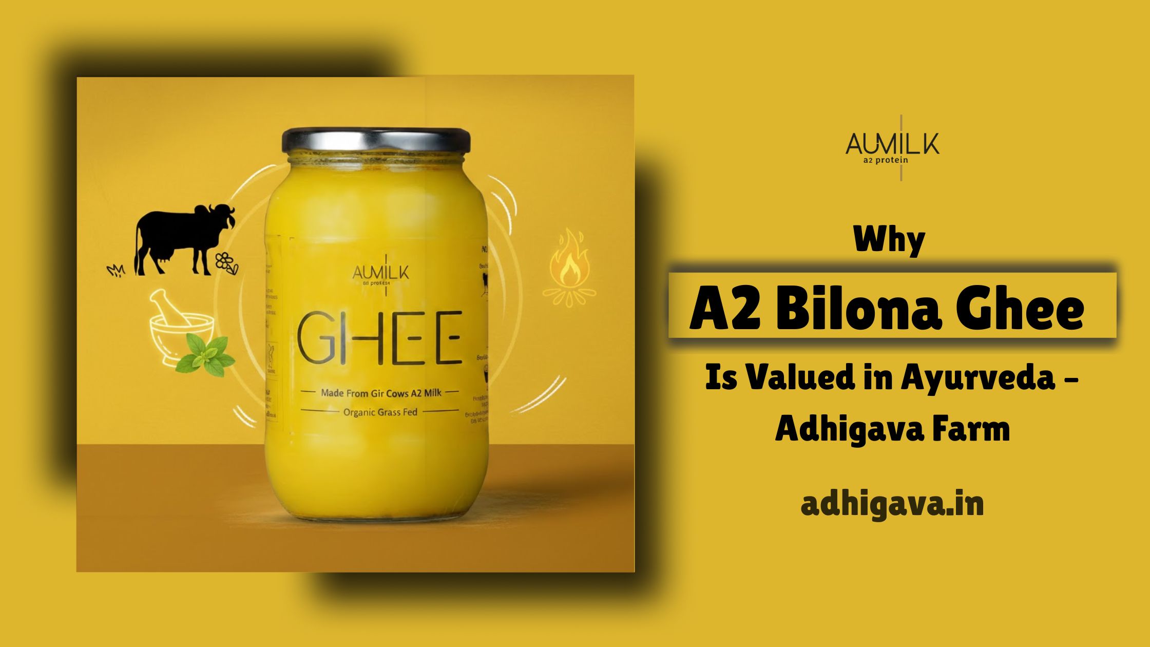 Why A2 Bilona Ghee Is Valued in Ayurveda – Adhigava Farm – Adhigava Farm