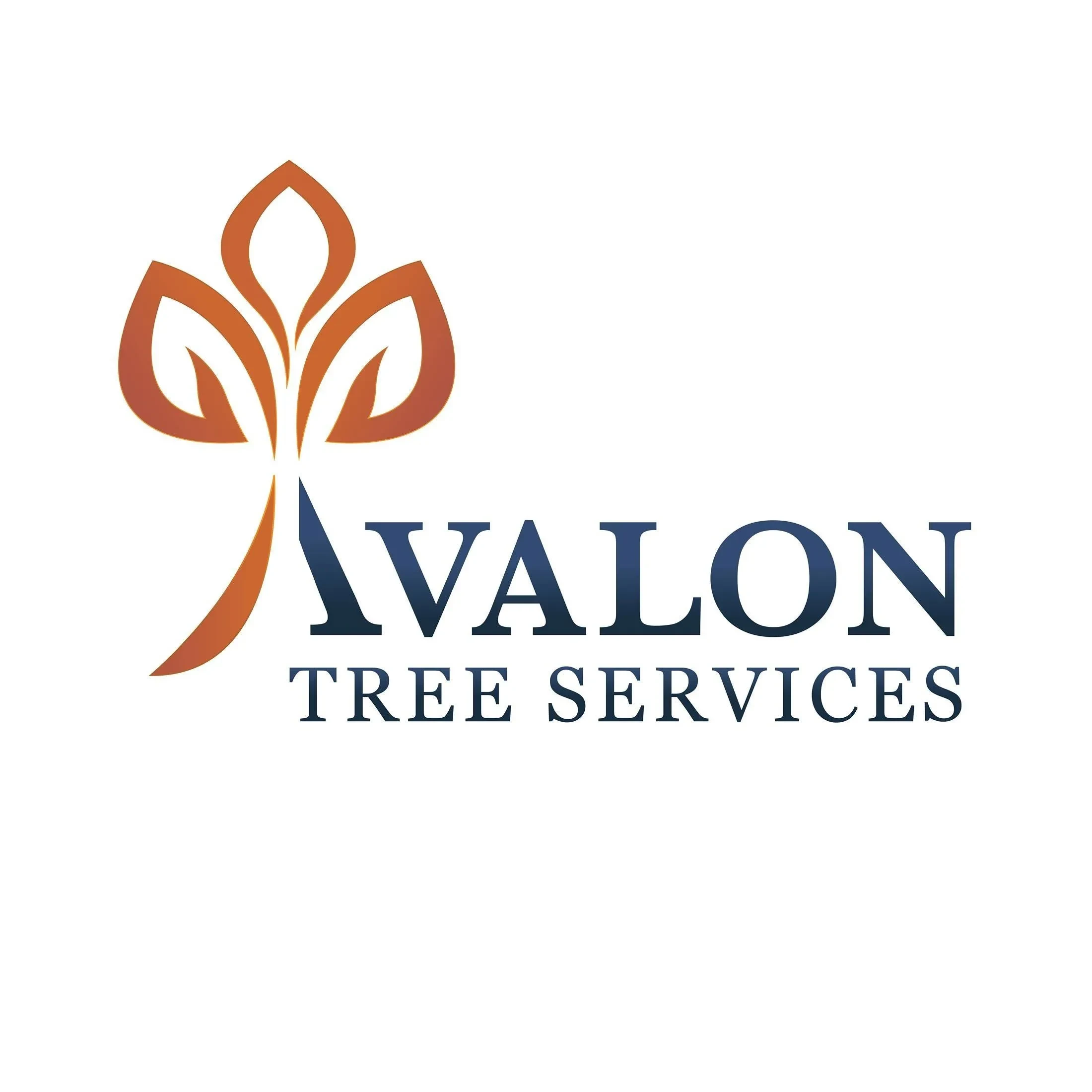 Avalon Tree Services Profile Picture