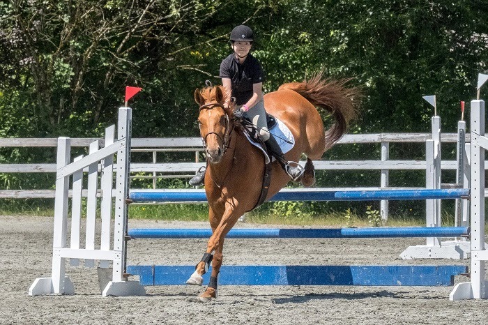 Discover the Joy  Skill of How Equestrian Horse Riding in British Columbia Strengthens Riding Skills