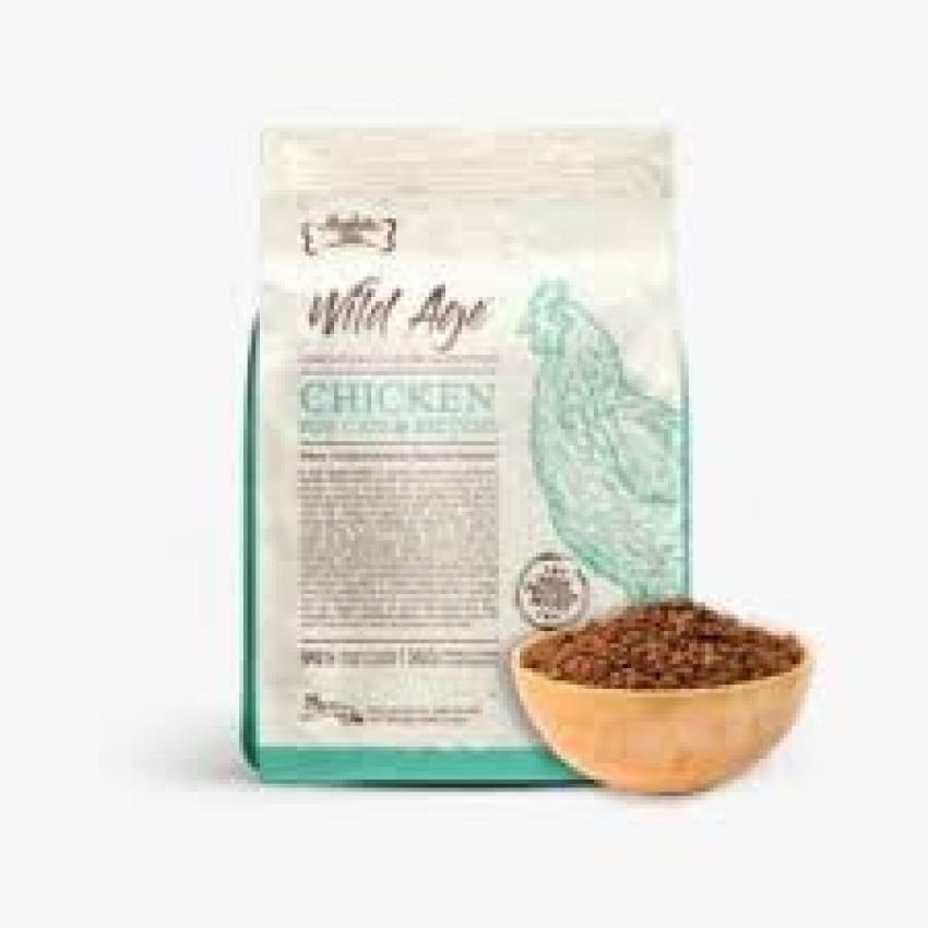 Cat Food Storage Mistakes Singapore Cat Owners Often Make - Ani Articles