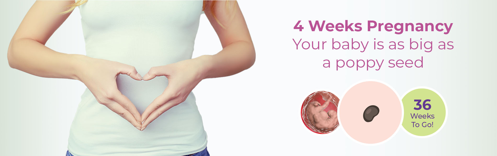 4 Weeks Pregnant: Symptoms, Baby Development  Belly Size