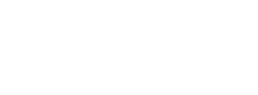 Executive Leadership Development  Coaching Programs in USA