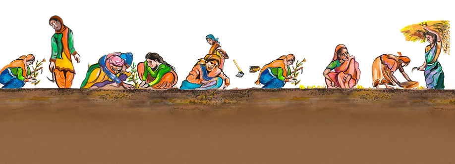 Namak wali Cover Image