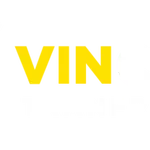 vincom transformer profile picture