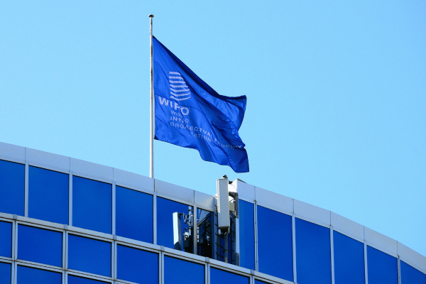 Deadline Looms for WIPO Translation Chief Hire with Nearly USD 150k Salary - Slator