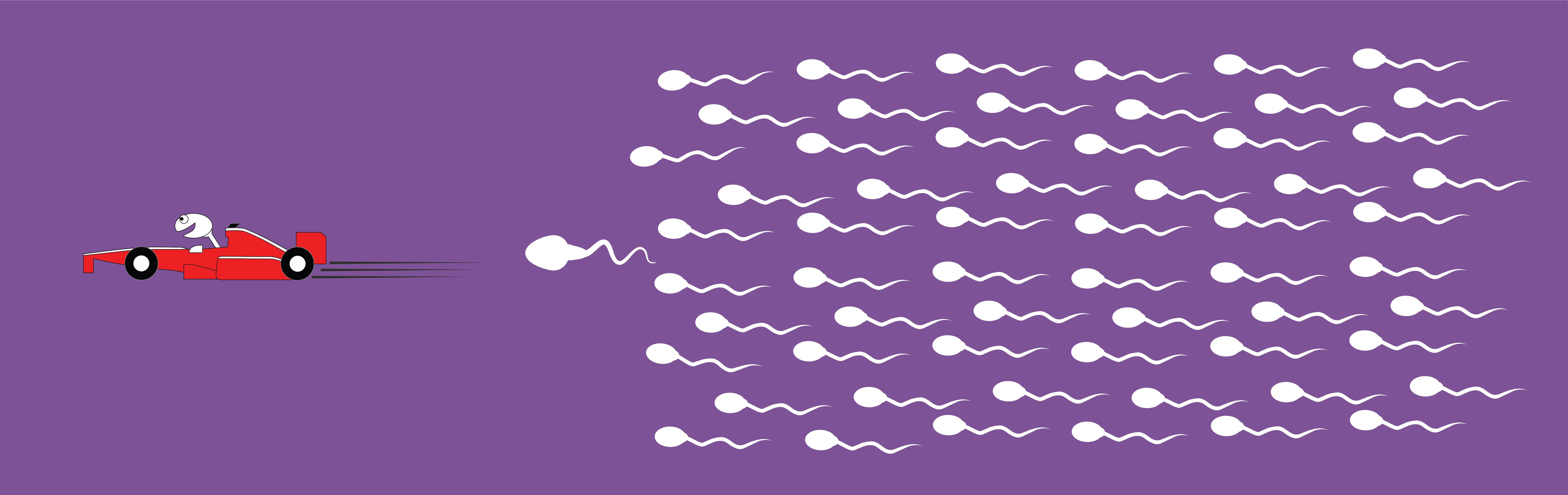 The Basics Of Men Sperm | Definition, Formation, Structure