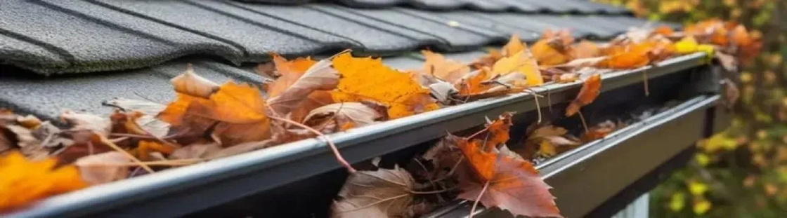 ACT GUTTER VACUUM Cover Image