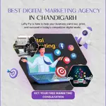 Lofty Fly profile picture