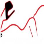 What to Expect From Professional Security Solution..