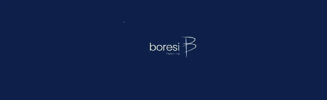 Boresi Fencing Cover Image