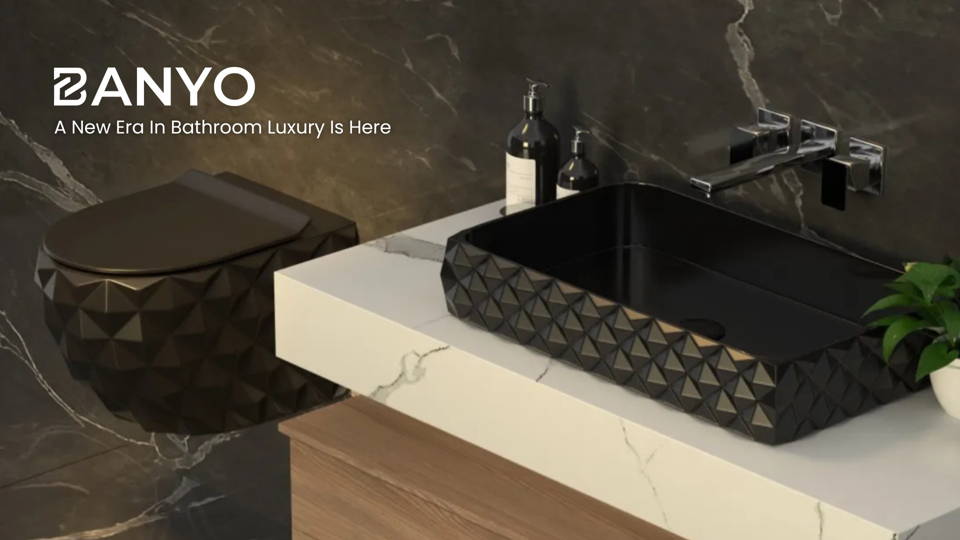 Banyo Sanitaryware | Designer Washbasins  Toilets in India