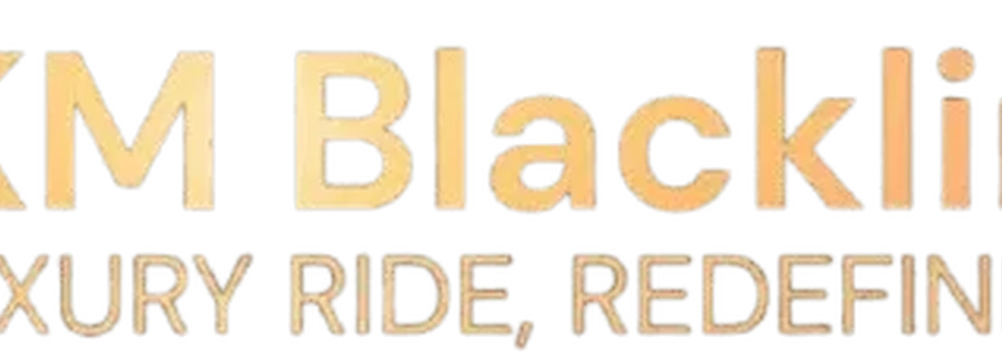 KKM BLACK LINE LLC Cover Image