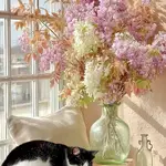 Ethan Walker Profile Picture