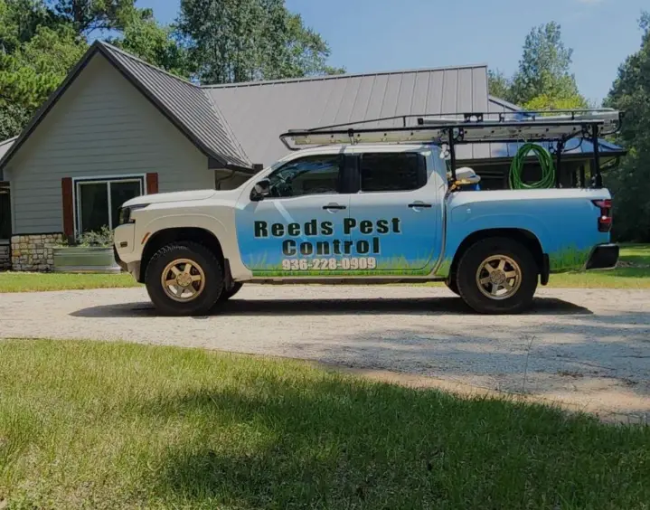 Pest Control Willis And Conroe Texas Exterminators