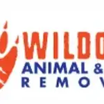 Wild Out Profile Picture