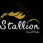 stallion Digital media Profile Picture